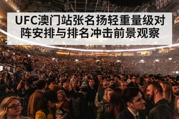 UFC octagon arena crowd